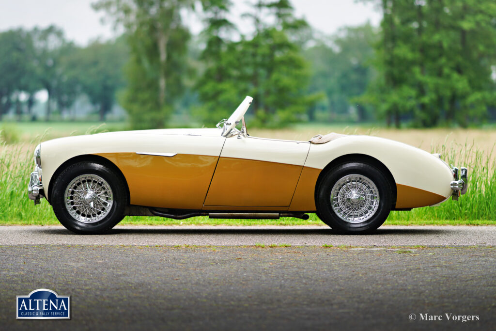 Austin Healey 100/4, 1955