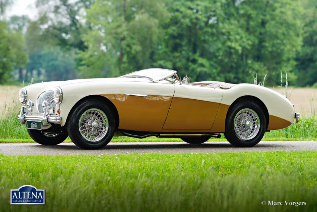 Austin Healey 100/4, 1955