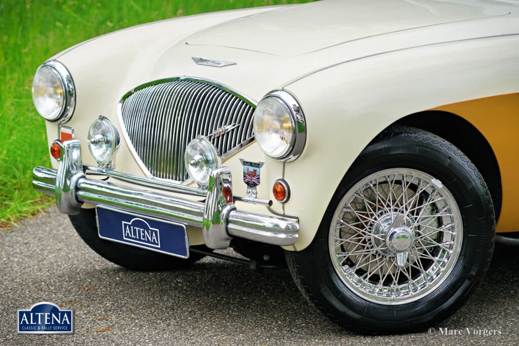 Austin Healey 100/4, 1955