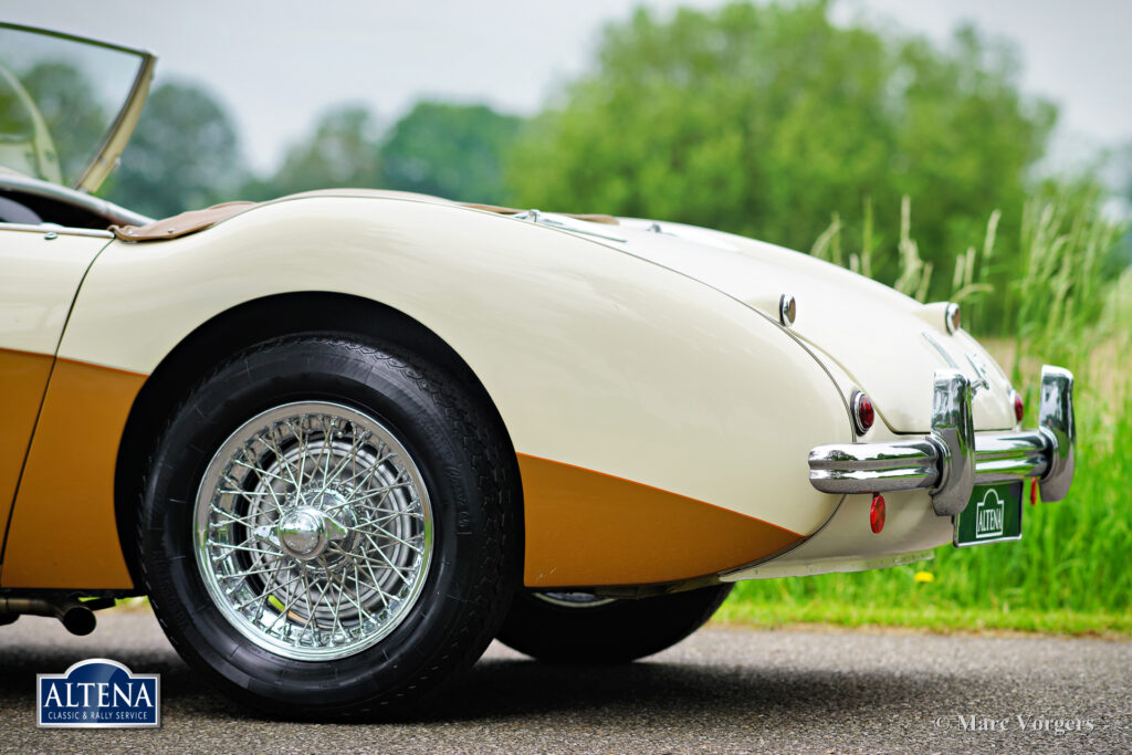 Austin Healey 100/4, 1955