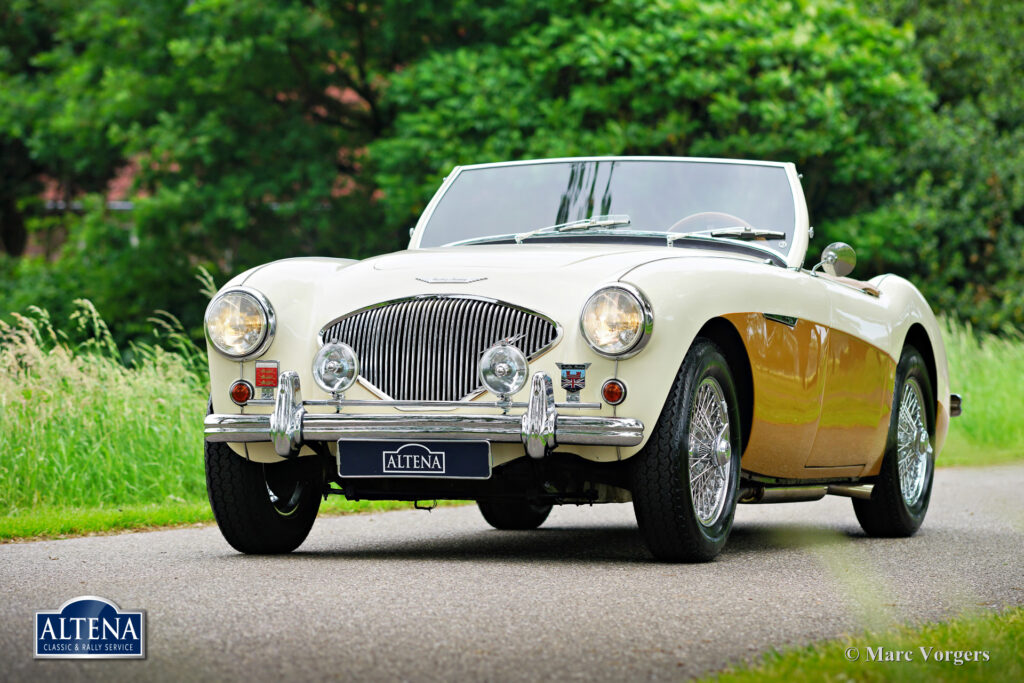 Austin Healey 100/4, 1955