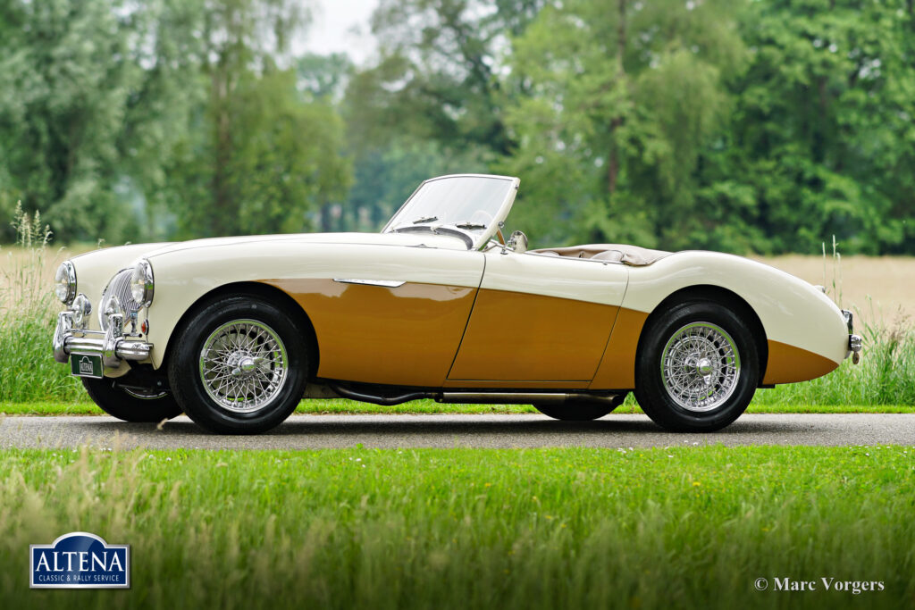 Austin Healey 100/4, 1955