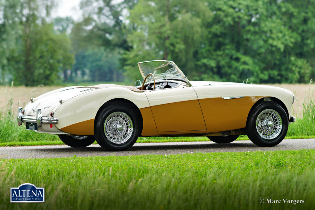 Austin Healey 100/4, 1955