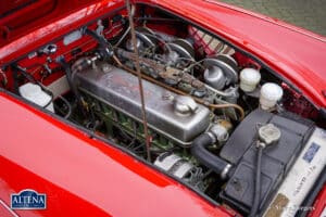 Austin Healey 100/6 Rally, 1958