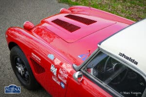 Austin Healey 100/6 Rally, 1958